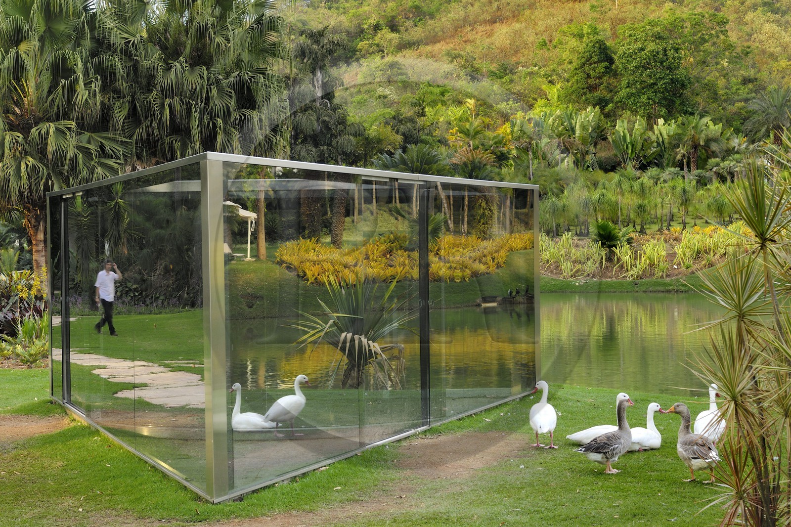 Brésil, Etat du Minas Gerais, région de Belo Horizonte, Brumadinho, centre d'art contemporain Inhotim, Bisected Triangle Interior Curve (2002) de Dan Graham