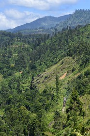 Sri Lanka, Province d'Uva, train sur la voie de chemin de fer dans la région montagneuse de la culture du thé non loin de Ella (Badulla district)