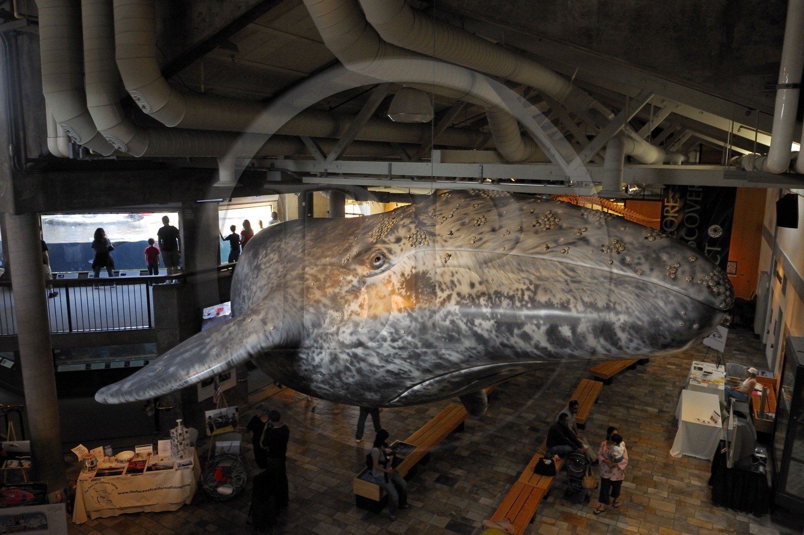 Etats-Unis, Californie, Monterey, le Monterey Bay Aquarium dans Cannery Row