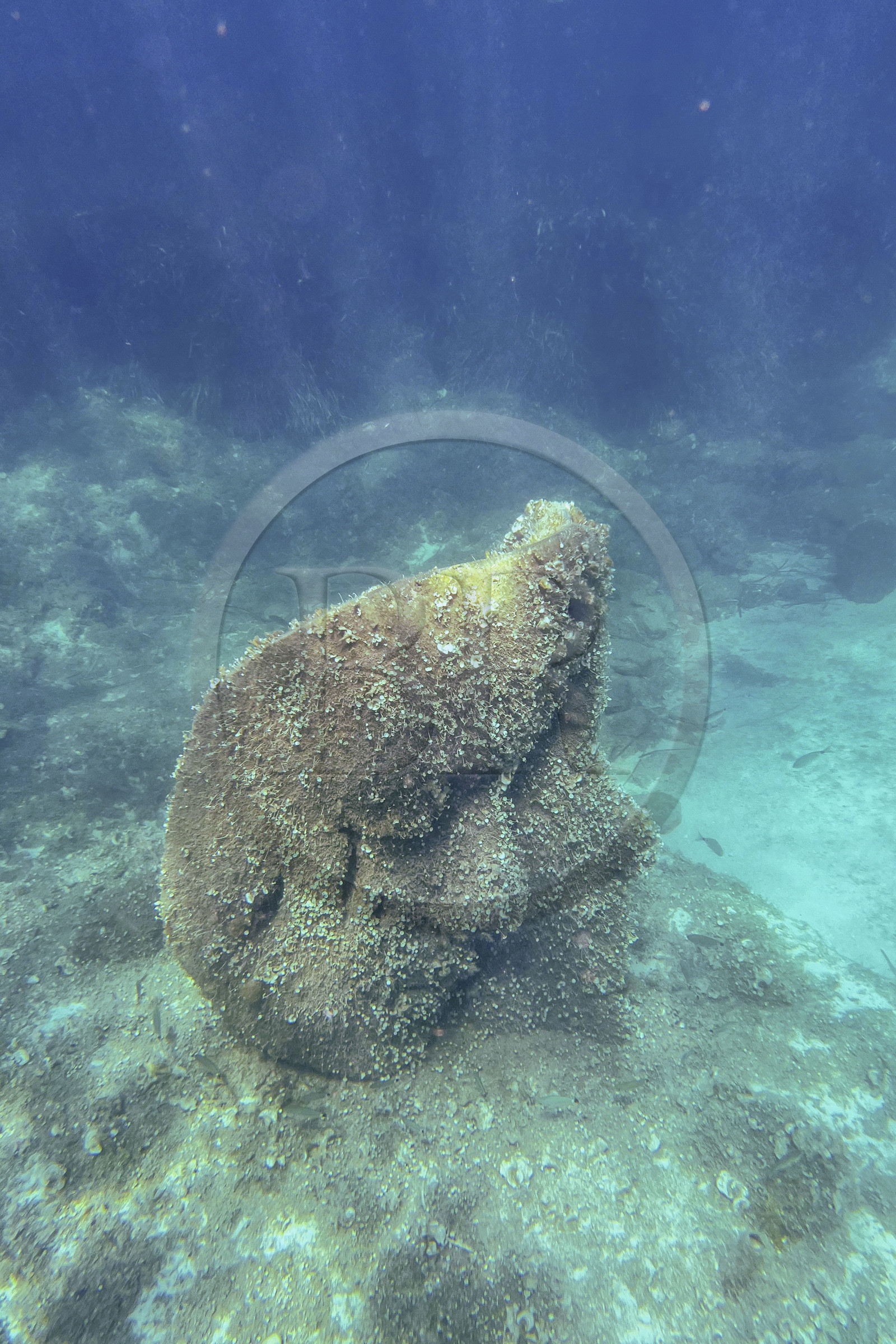 France, Alpes-Maritimes (06), Cannes, Iles de Lérins, Ile Sainte-Marguerite, l’écomusée sous-marin formé de statues monumentales de l’artiste Jason deCaires Taylor, moulées selon les visages de 6 Cannois et immergées à une distance allant de 84 à 132 mètres du rivage pour une profondeur de 3 à 5 mètres