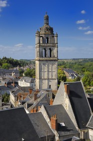 France, Indre-et-Loire (37), Loches, la Tour Saint Antoine