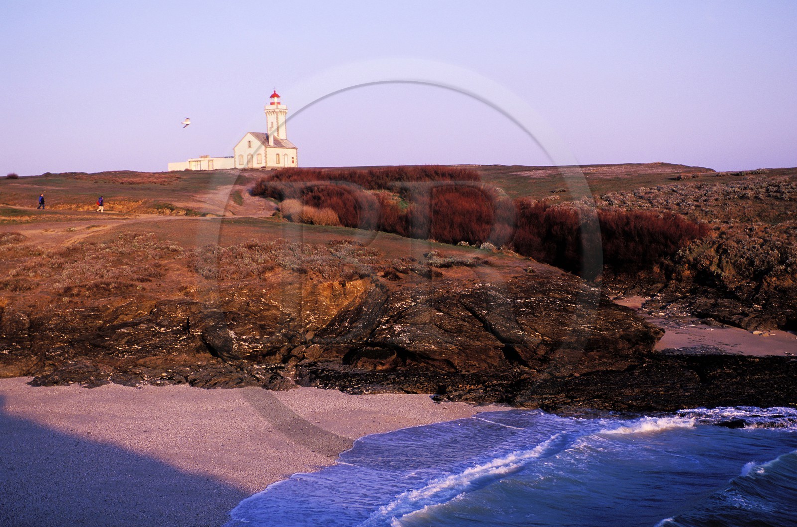 France, Morbihan (56), Belle-Île, le phare de la Pointe des poulains