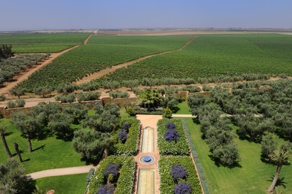 Maroc, région de Meknès, Boufakrane, Les Celliers de Meknès exploitent près de 2000 hectares de vigne