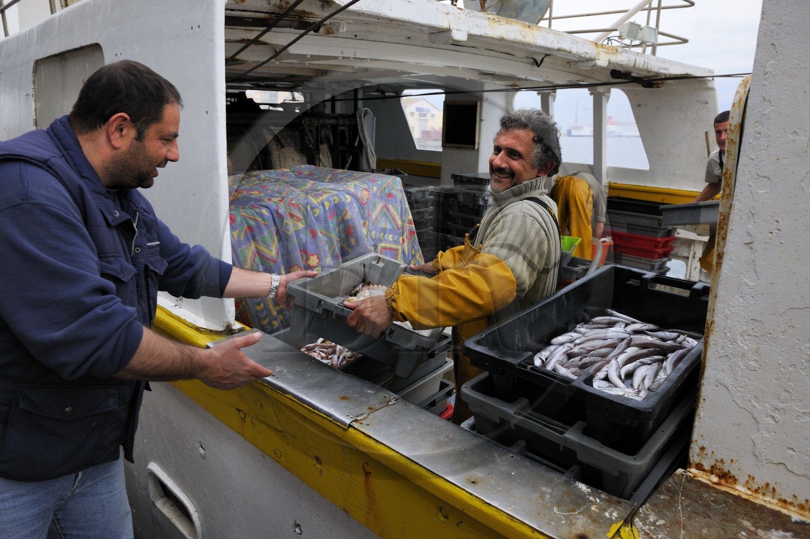 France, Hérault (34), Sète, la Criée Aux Poissons, débarquement de la pêche
