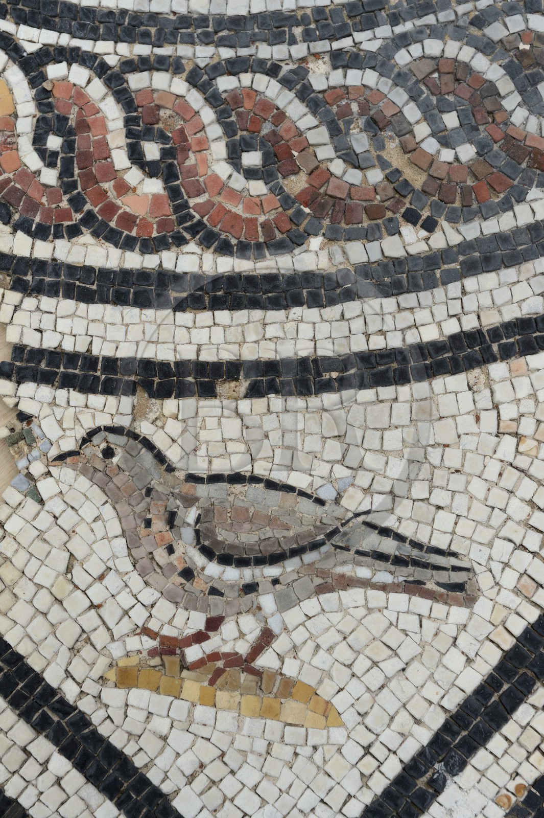 France, Rhône (69), Saint-Romain-en-Gal, atelier de restauration de mosaïques du musée gallo-romain de Saint-Romain-en-Gal, restauration d'une mosaïque du IIème siècle de la maison au cinq mosaïques, detail