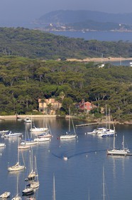 France, Var (83), Iles d'Hyères, parc national de Port-Cros, île de Porquerolles, le port du village
