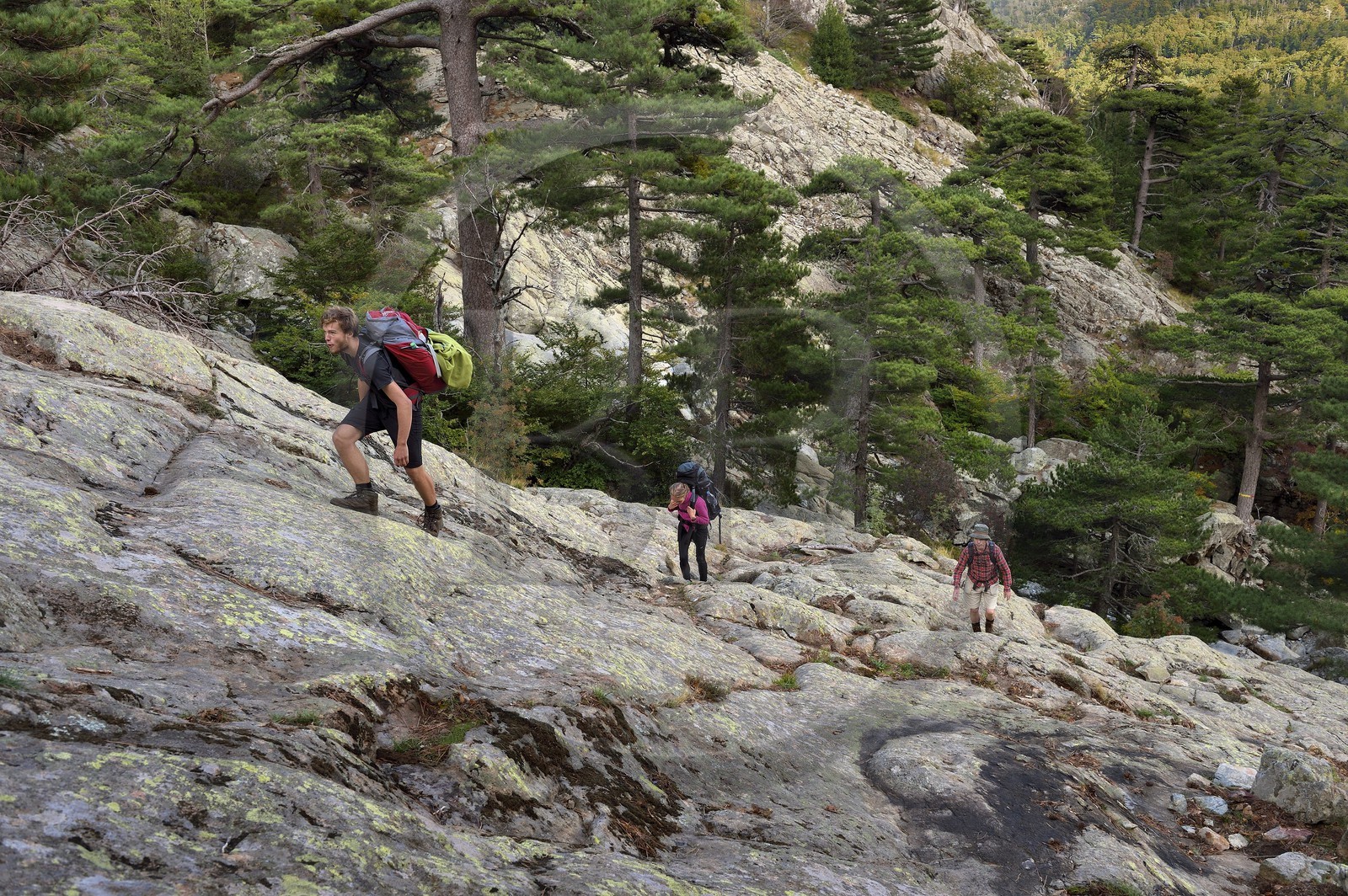 France, Haute-Corse (2B), Vivario, GR 20, étape entre le refuge de l'Onda et Vizzavona, foret de Vizzavona, les cascades des anglais, groupe de cascades dans la vallée de l'Agnone au pied du Monte d'Oro