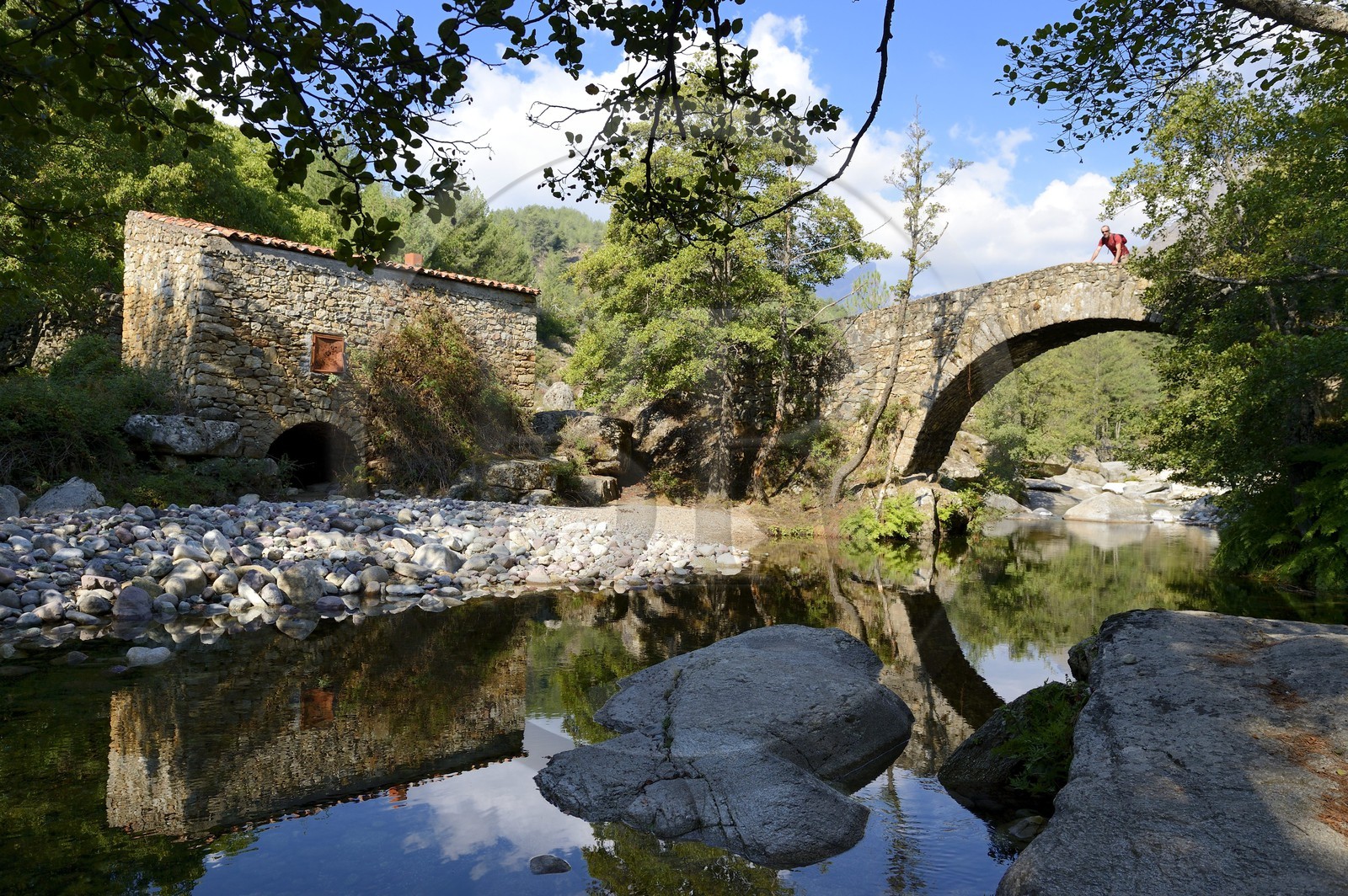 France, Haute-Corse (2B), région du Niolu (Niolo), pont génois de Murricciolu sur la rivière Calasima et l'ancien moulin