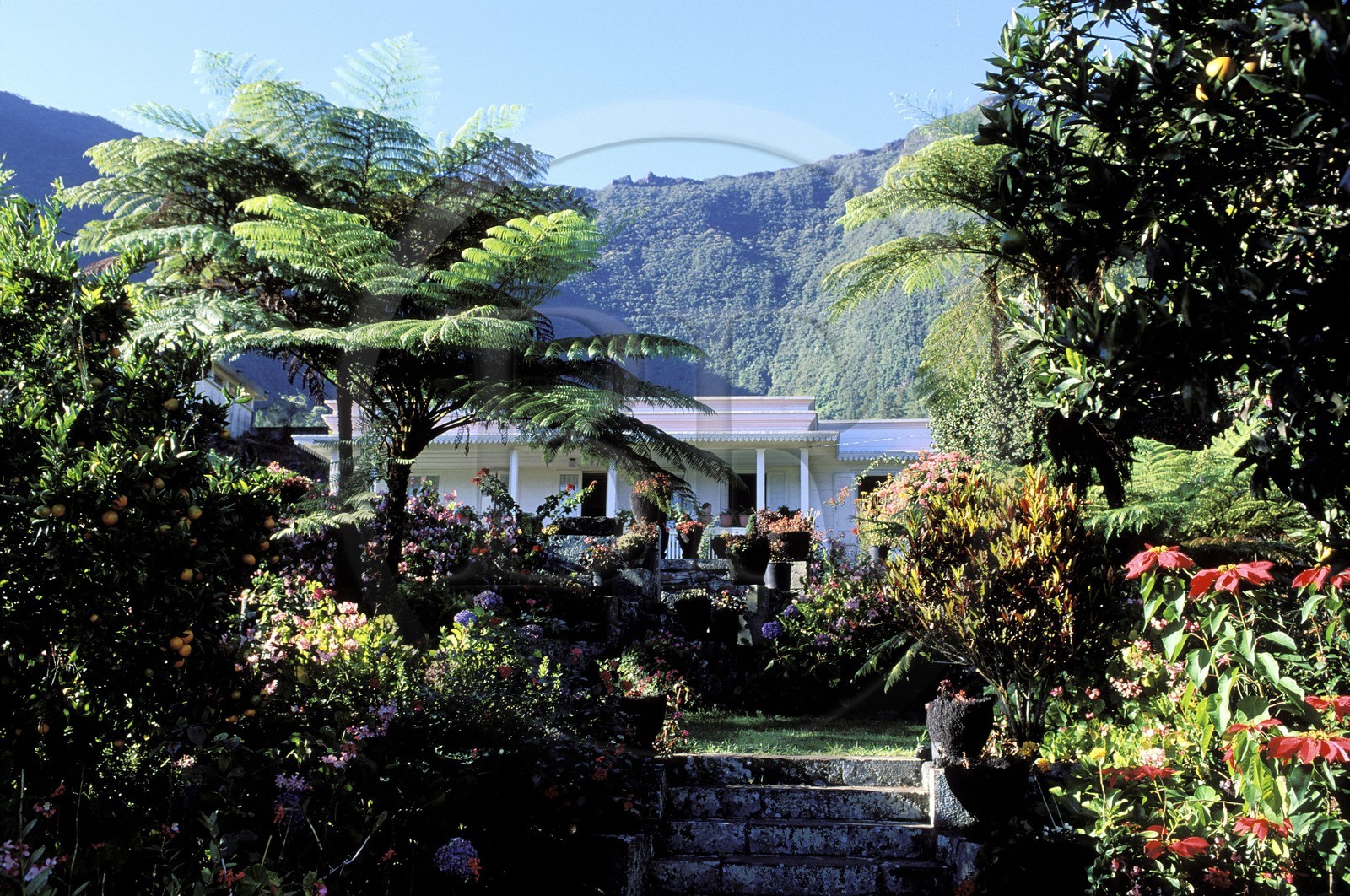 France, île de la Réunion, cirque de Salazie, classé Patrimoine Mondial de l'UNESCO, Hell-Bourg, labellisé Les Plus Beaux Villages de France, case créole et son jardin