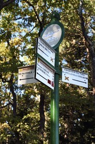 France, Bas Rhin, Mont Saint Odile, hike around the Pagan Wall, vestige of a wall probably from the Merovingian period with a total length of eleven kilometers