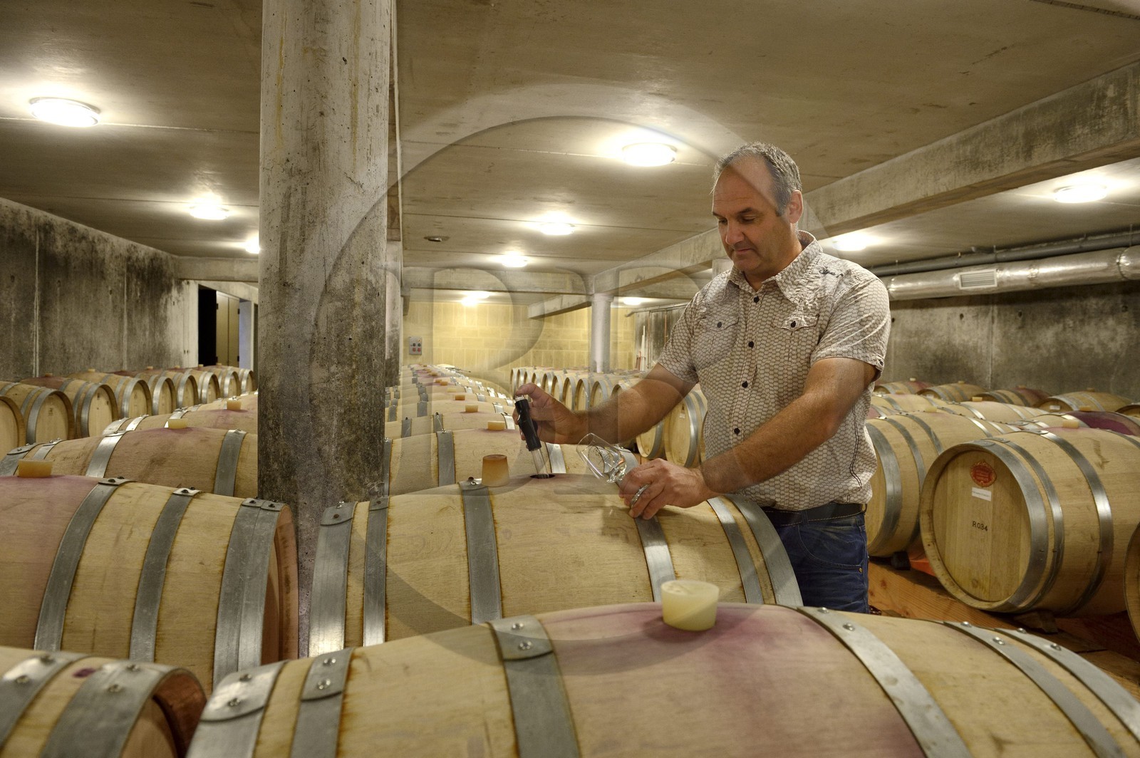 France, Loire, Chavanay, the domaine Christophe Pichon at Verlieu - Le Grand Val, Christophe Pichon in his wine cave