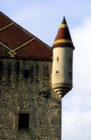France, Saone et Loire, Pierreclos, castle (12th century and 16th century) with glazed tiles
