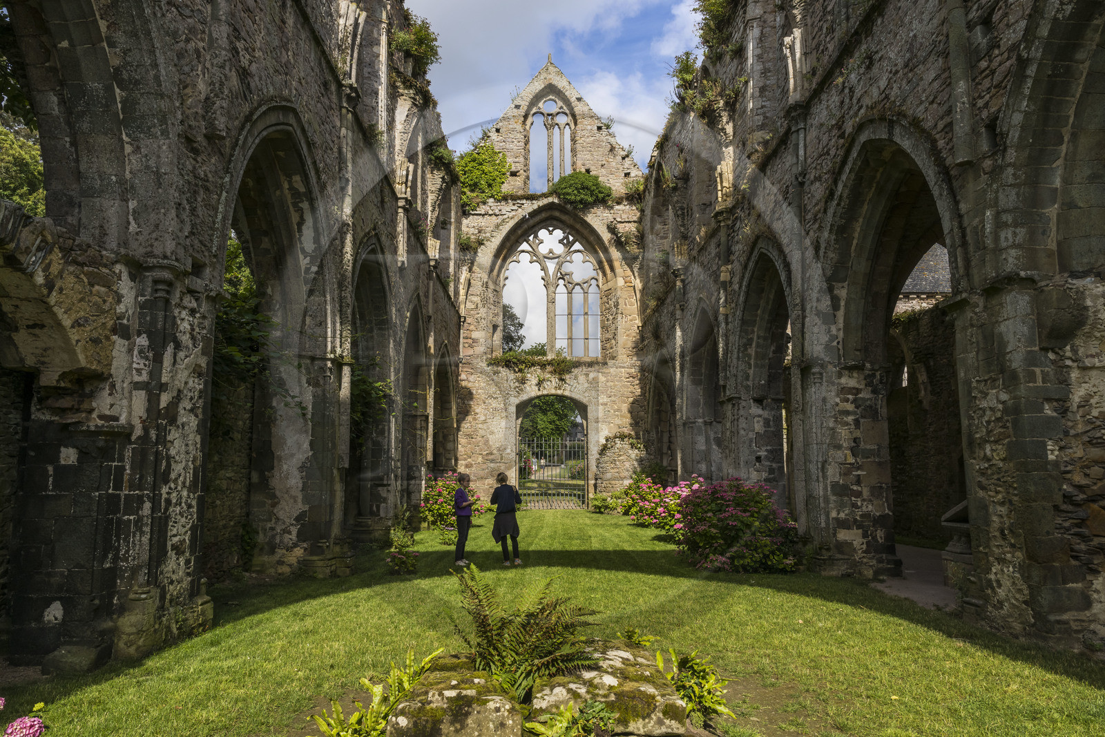France, Côtes d'Armor (22), Paimpol, abbaye de Beauport du XIIIème siècle, intérieur de l'église abbatiale