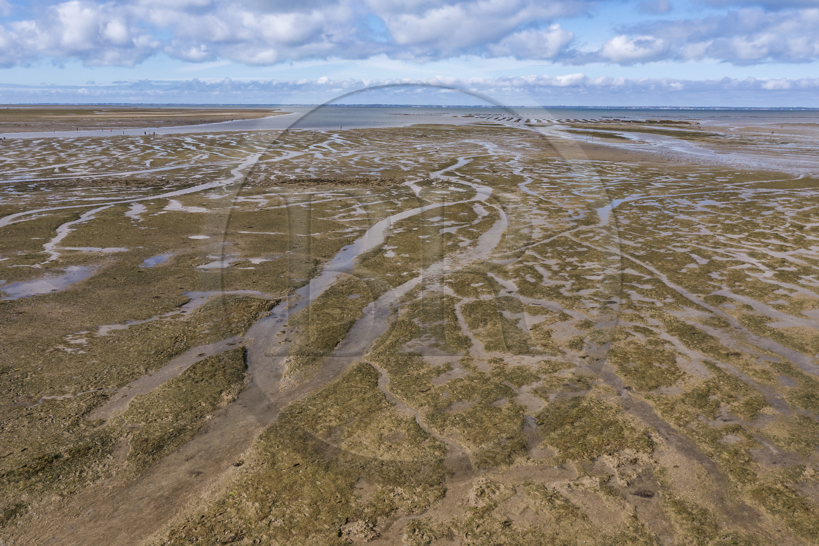 France, Vendée (85), île de Noirmoutier, Barbatre, l'estran en bordure du passage du Gois, chaussée submersible qui relie l'île au continent à marrée basse (vue aérienne)