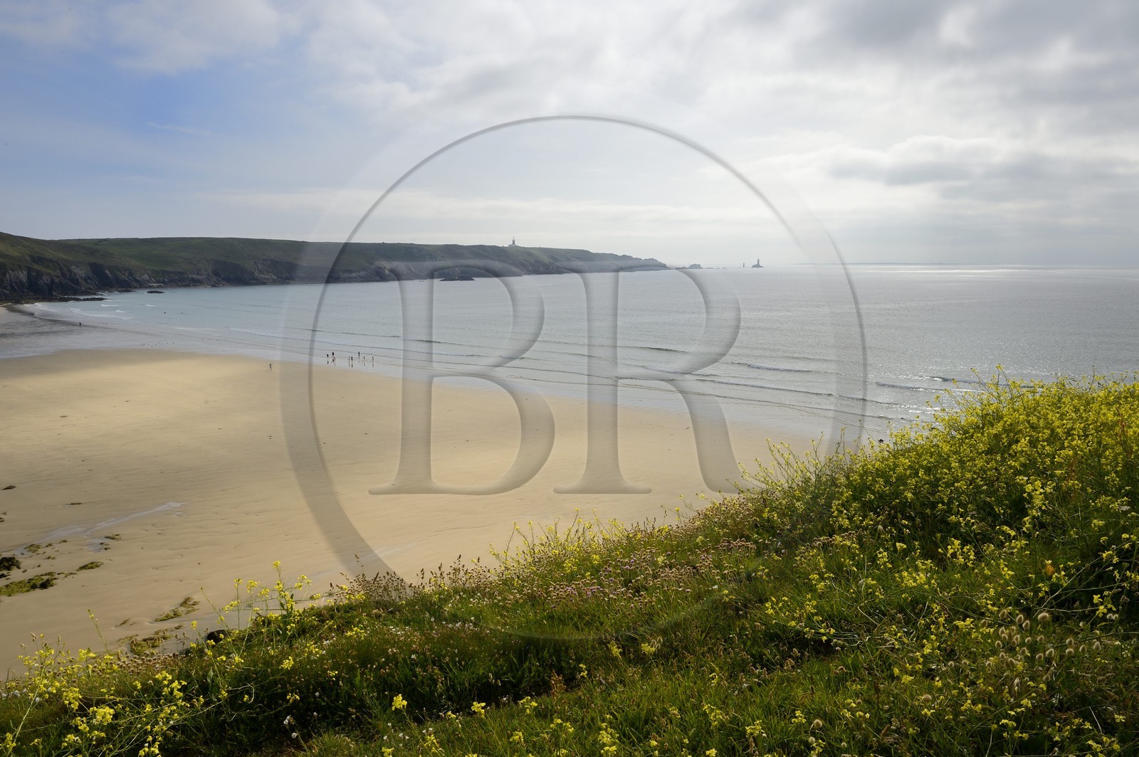 France, Finistère (29),  Mer d'Iroise, Plogoff, plage de la baie des Trépassés et la Pointe du Raz en arrière plan