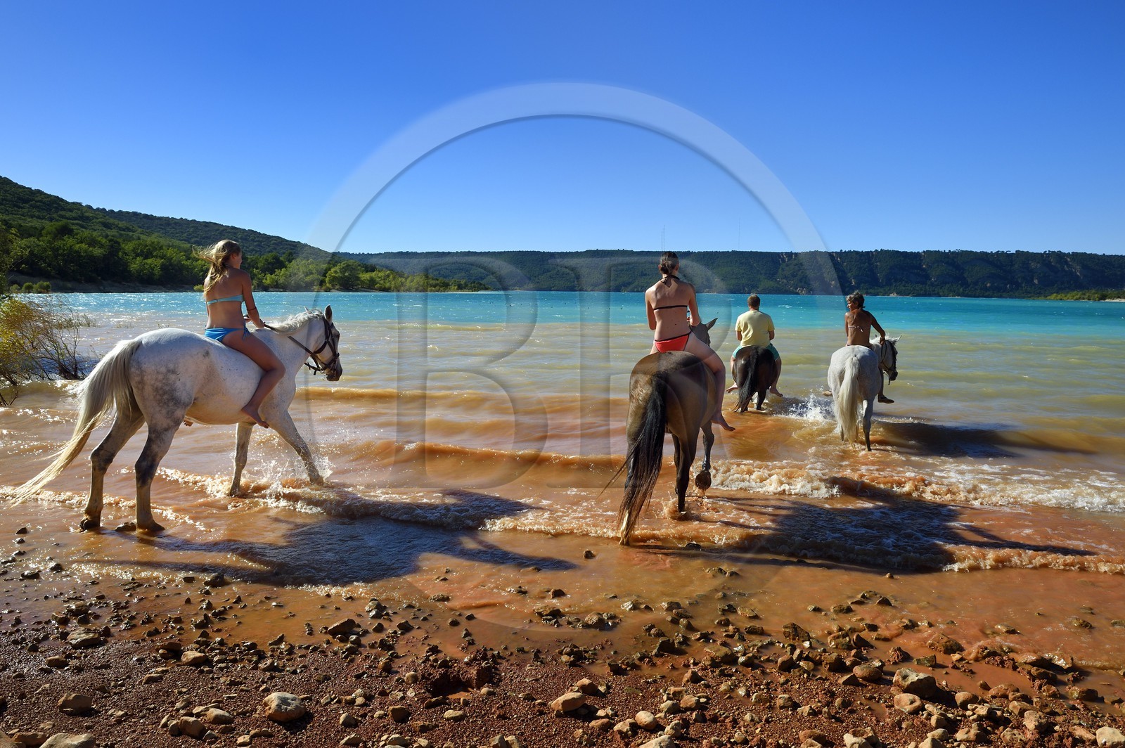 France, Var, Parc Naturel Regional du Verdon, Lake St Croix, horseback riding with Verdon Equitation