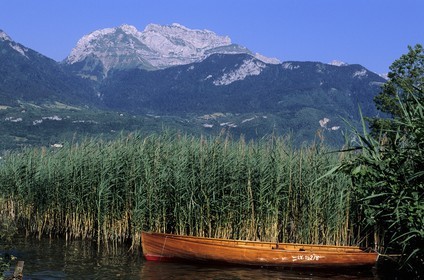 France, Haute Savoie, Annecy lake at Saint Jorioz, boats and reeds