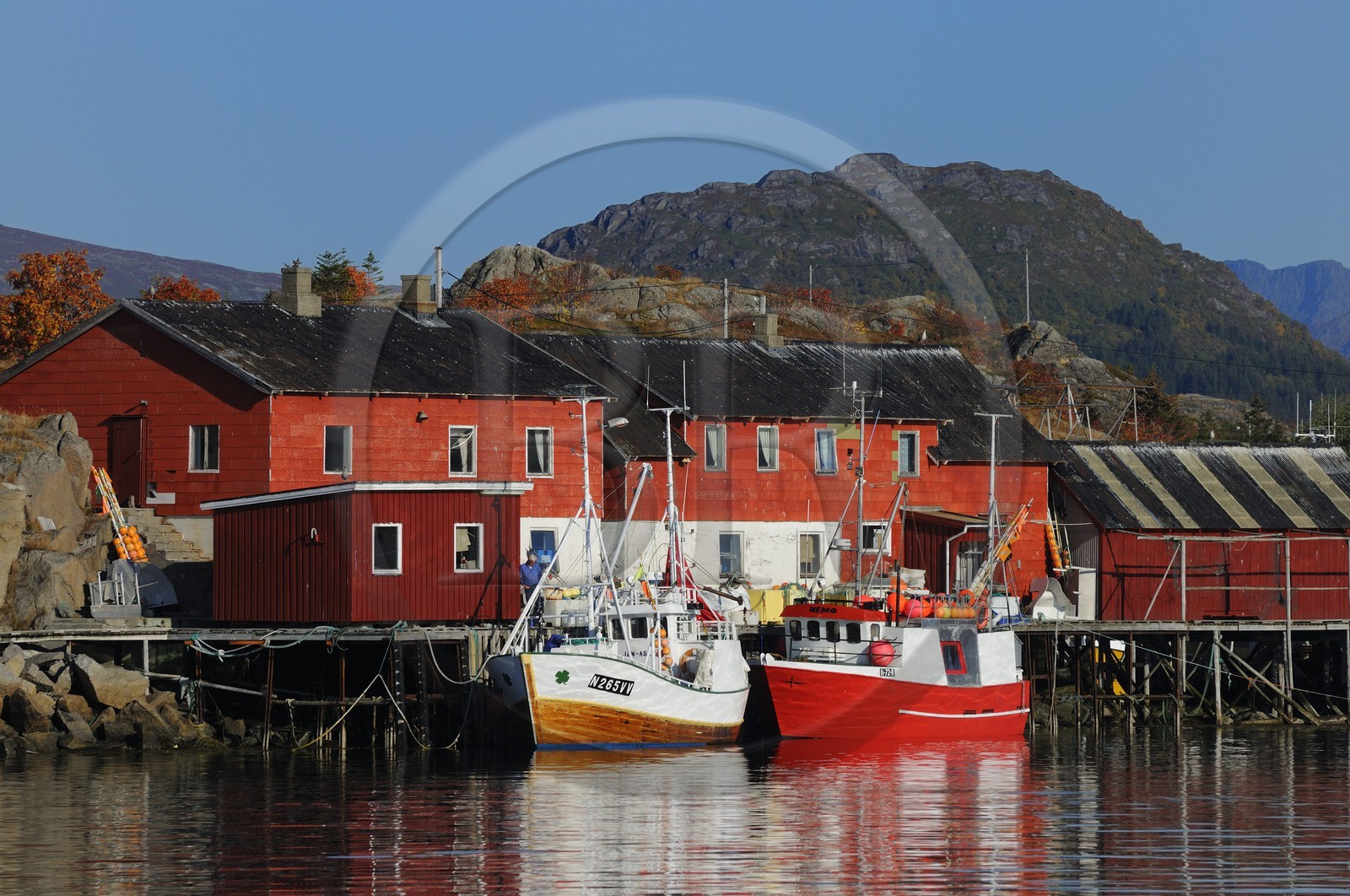Norvège, Nordland, Iles Lofoten, port de pêche de Ballstad dans l'île de Vestvagoy