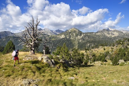 France, Hautes Pyrenees, Saint Lary Soulan and Vielle-Aure, hike on a variant of the GR10 between the Portet pass and the Bastan lakes on the edge of the Neouvielle nature reserve, the Neouvielle massif in the background