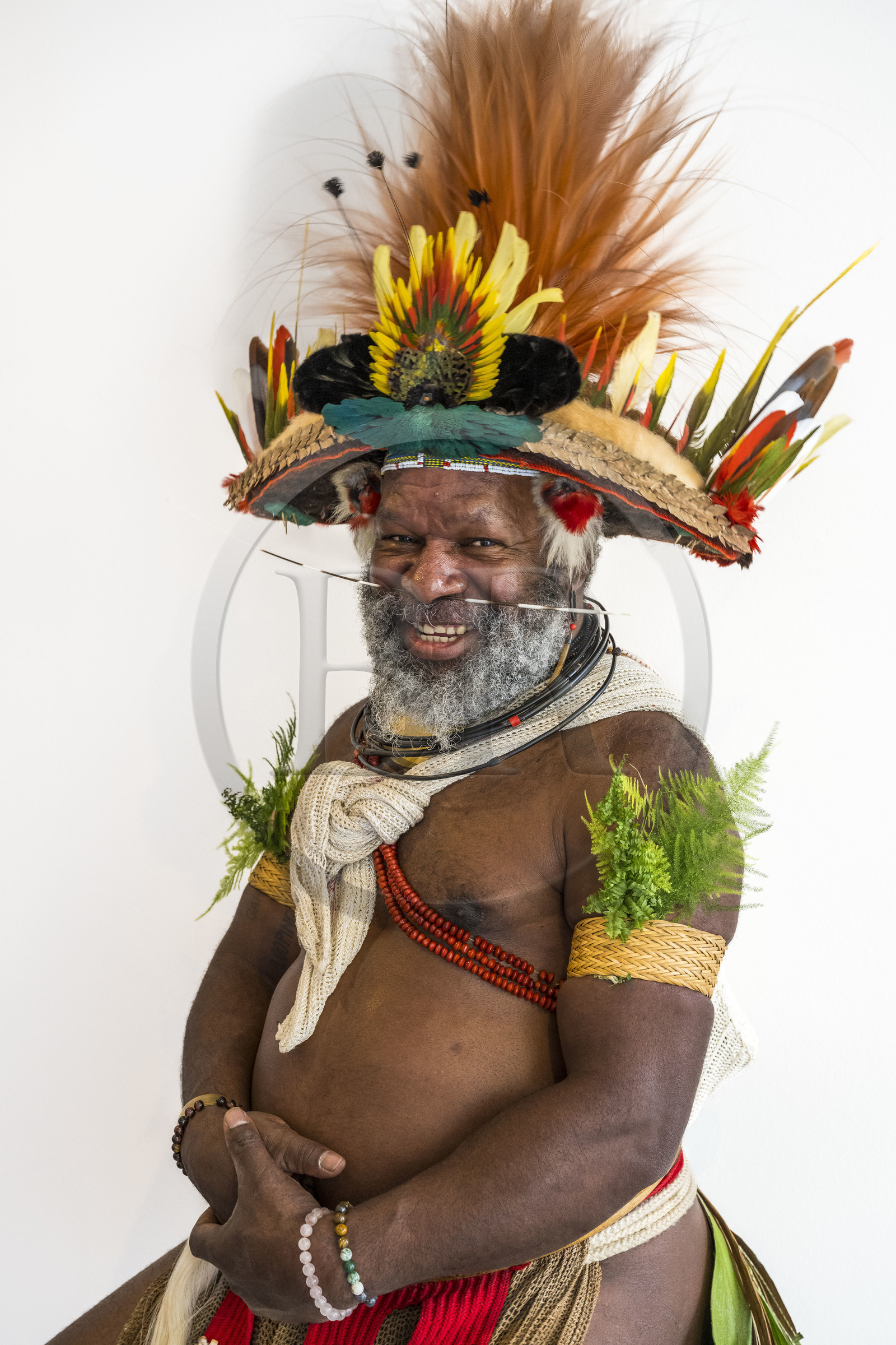 France, Paris, UNESCO Headquarters, Papuan Chief Mundiya Kepanga