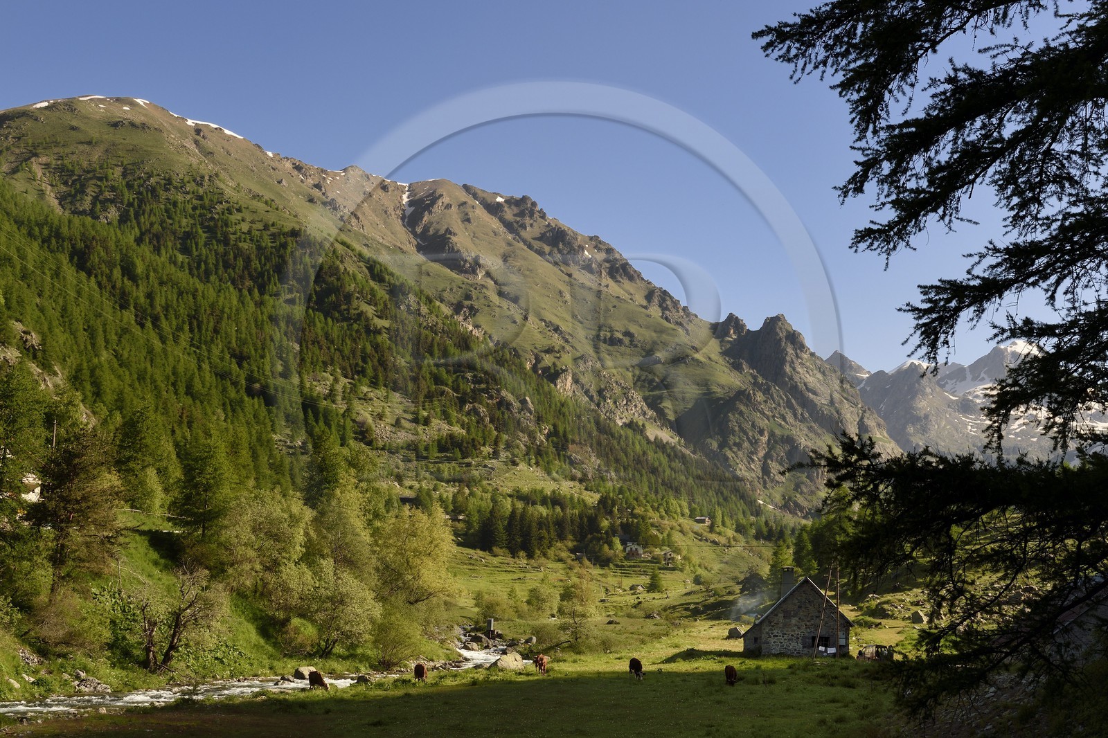 France, Alpes-Maritimes (06), parc national du Mercantour, Haute-Vésubie, vallon de la Gordolasque