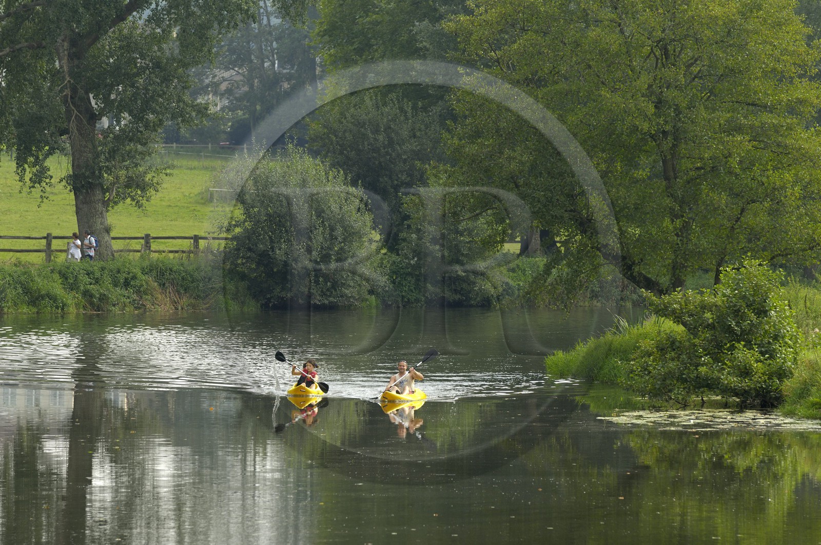 France, Manche (50), région de La Meauffe, la rivière Vire, kayaks