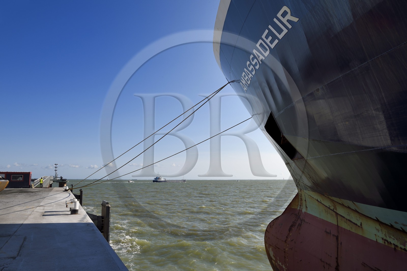 France, Charente-Maritime (17), La Rochelle, le Port Atlantique La Rochelle, port de commerce, quais dépendant de la société Sica Atlantique