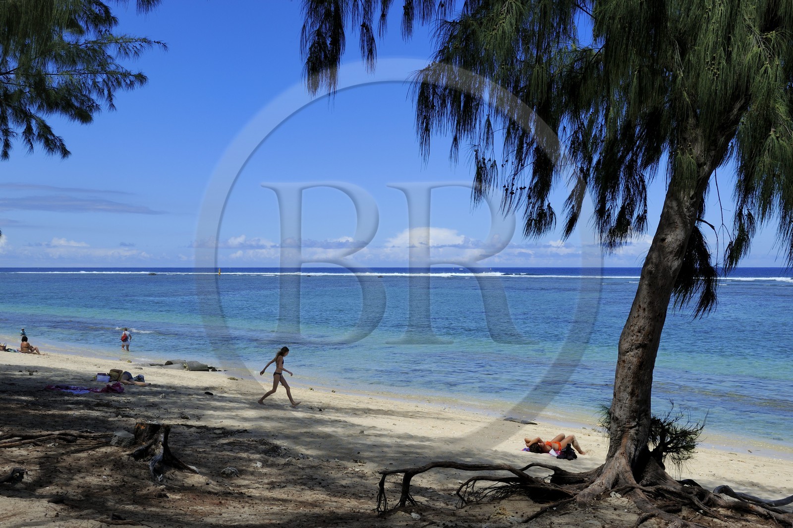 France, Reunion Island (French overseas department), West Coast, Saint Gilles les Bains lagoon beach at Ermitage les Bains and casuarina trees