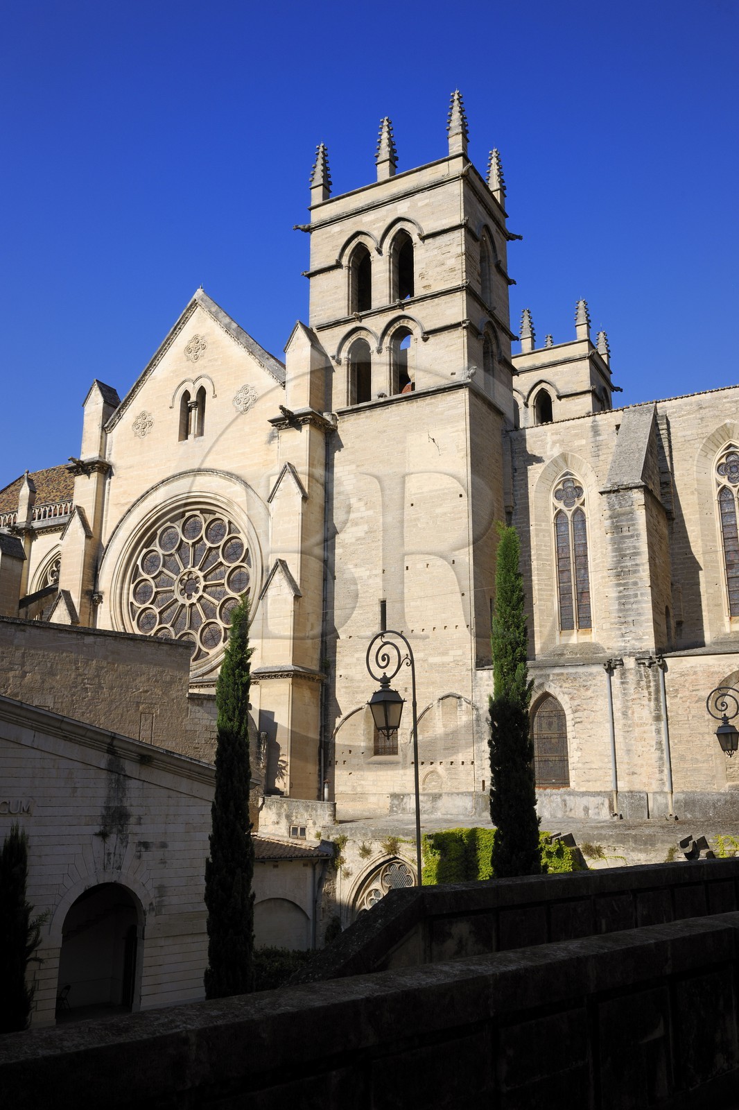 France, Herault, Montpellier, Saint Pierre cathedral