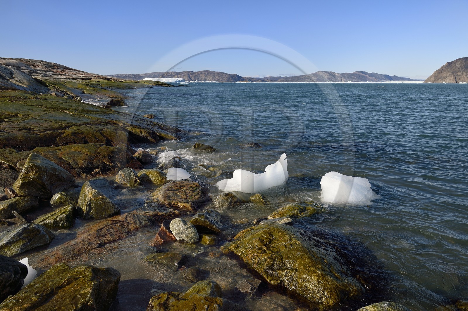 Groenland, cote ouest, baie de Disko, baie de Quervain et le glacier Kangilerngata sermia en arrière plan