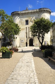 France, Indre-et-Loire (37), Loches, la Porte Royale du chateau