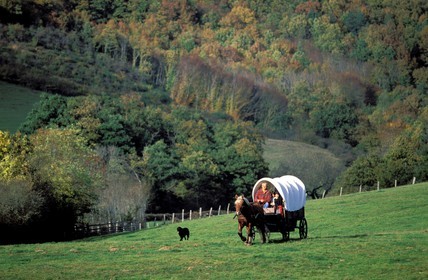 France, Saone et Loire, Morvan region, wagon crossing a field near the village of Celle en Morvan