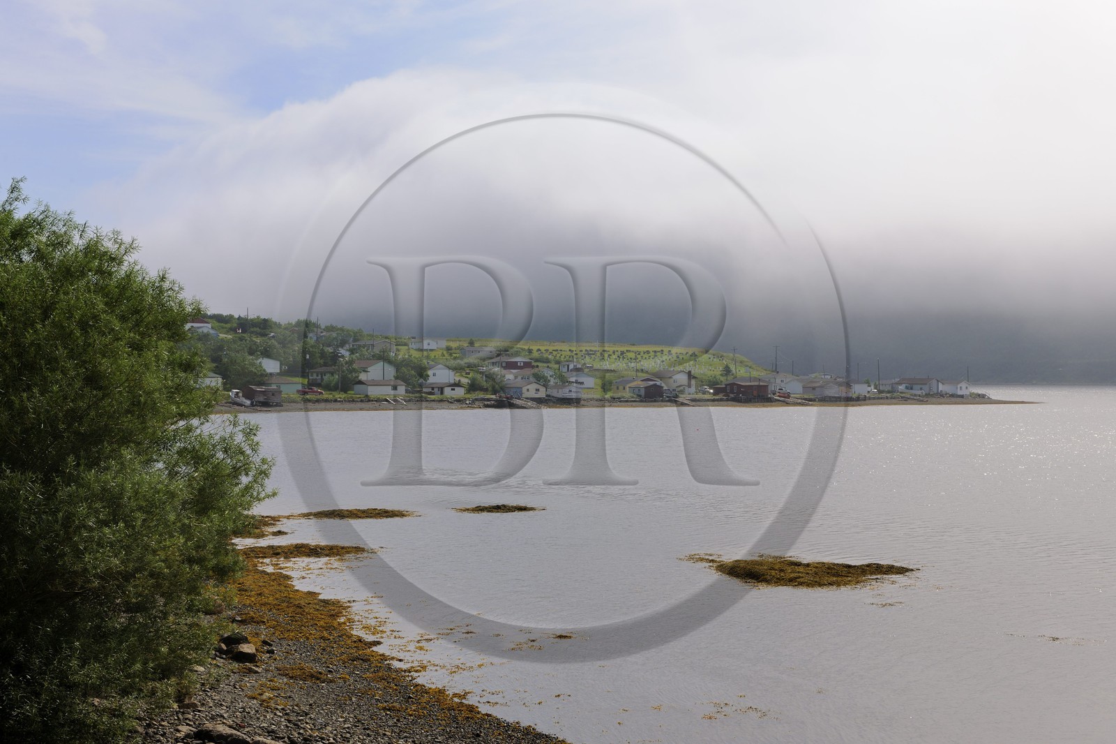 Canada, province de Terre-Neuve et Labrador, Ile de Terre-Neuve, fjord de Corner Brook sur les traces du capitaine Cook