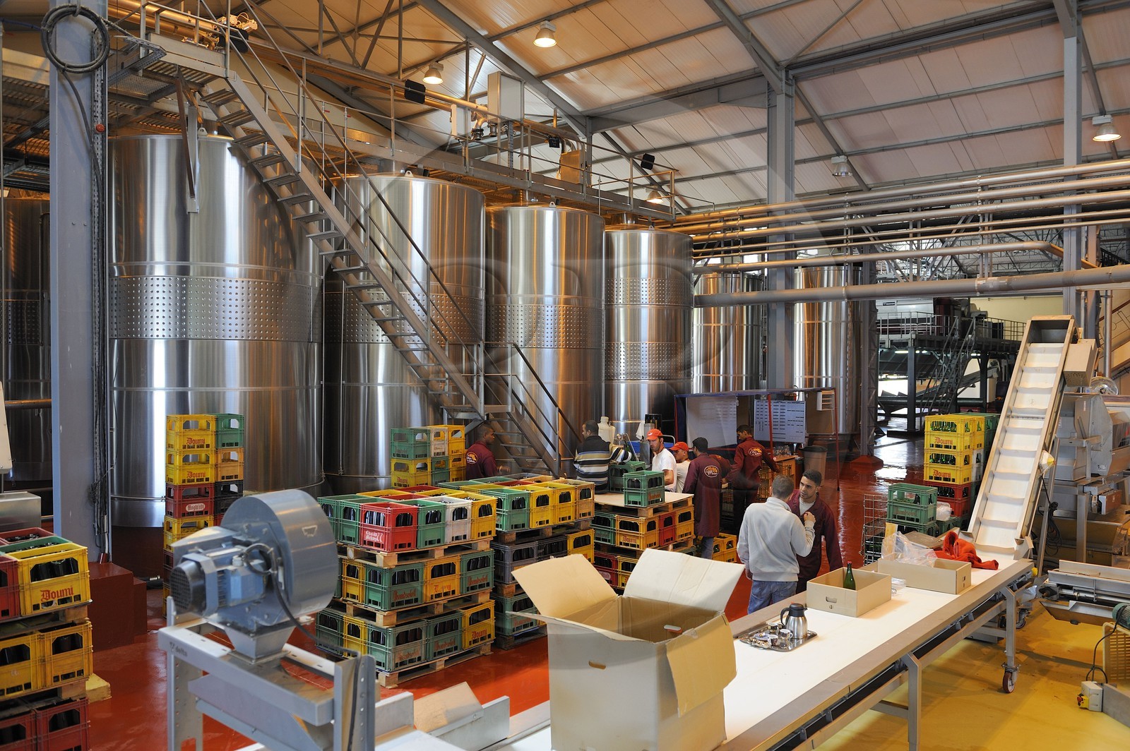 Maroc, région de Meknès, Boufakrane, Les Celliers de Meknès, les cuves