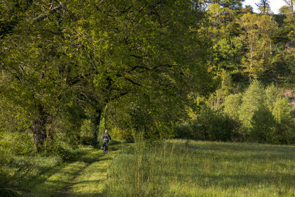 France, Vendée (85), Saint-Aubin-des-Ormeaux, randonnée cycliste dans la vallée de la Sèvre Nantaise