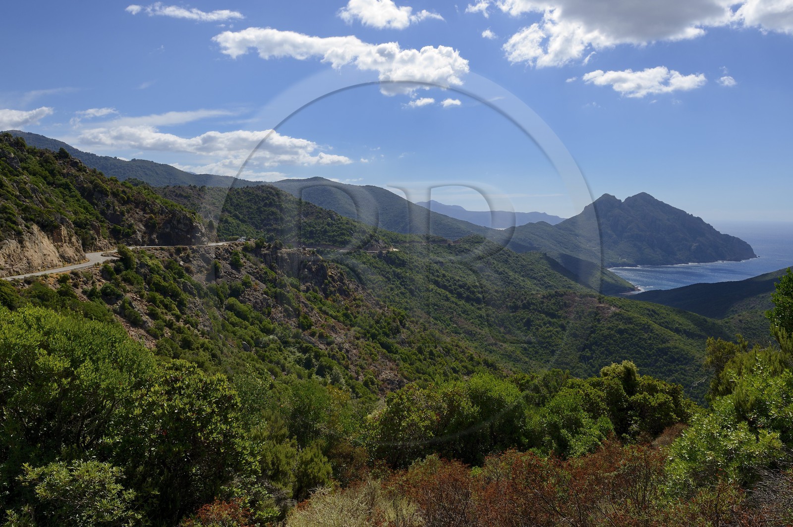 France, Corse du Sud, Golfe de Girolata, listed as World Heritage by UNESCO, the D81 road that goes from Calvi to Porto and the Capo Senino seen from the Col de Palmarel