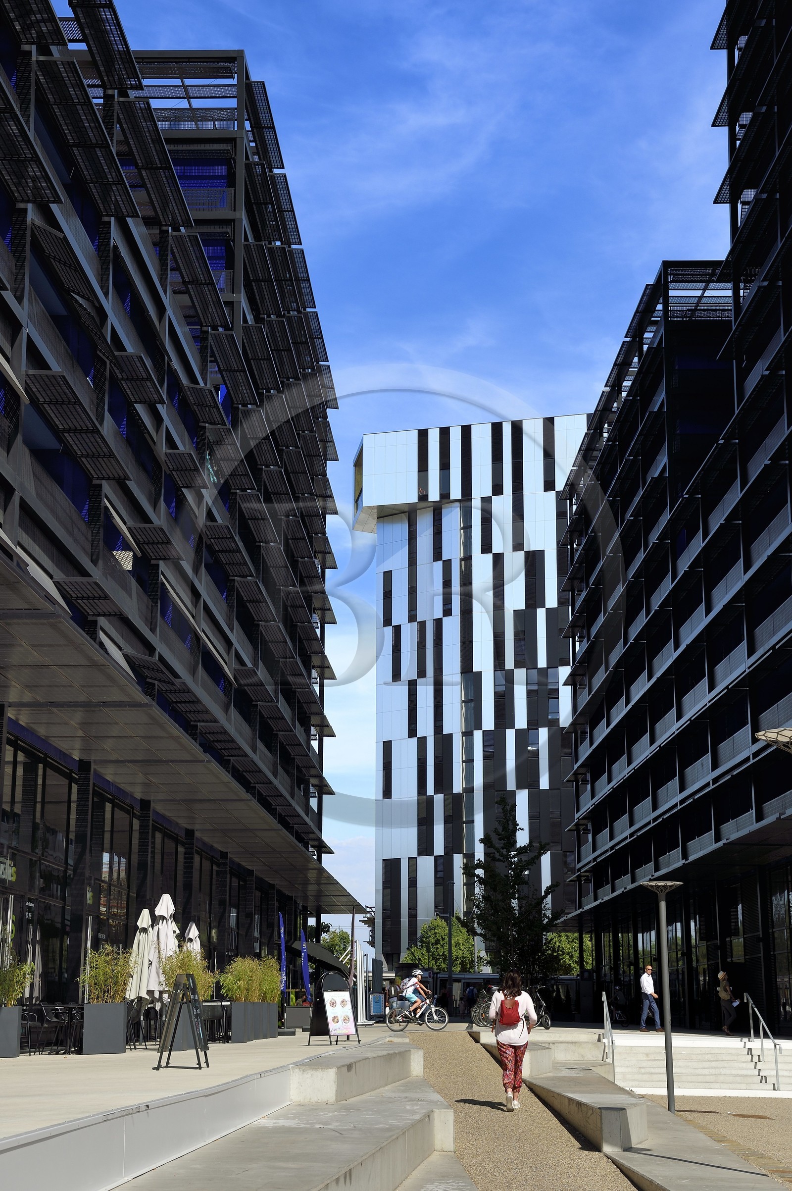 France, Bas-Rhin (67), Strasbourg, amenagement du port du Rhin et reconversion du mole du Bassin d'Austerlitz, presqu'ile Malraux, immeubles les Black Swans par l’architecte Anne Demians et la tour Elithis en arrière plan