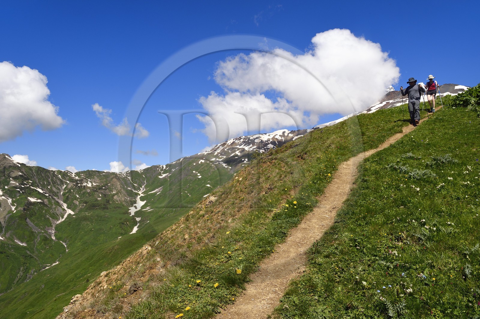 Géorgie, Haute Svanétie (Zemo Svaneti), Mestia, randonneurs sur les contrefort du mont Ouchba (Ushba) revenant de Guli pass