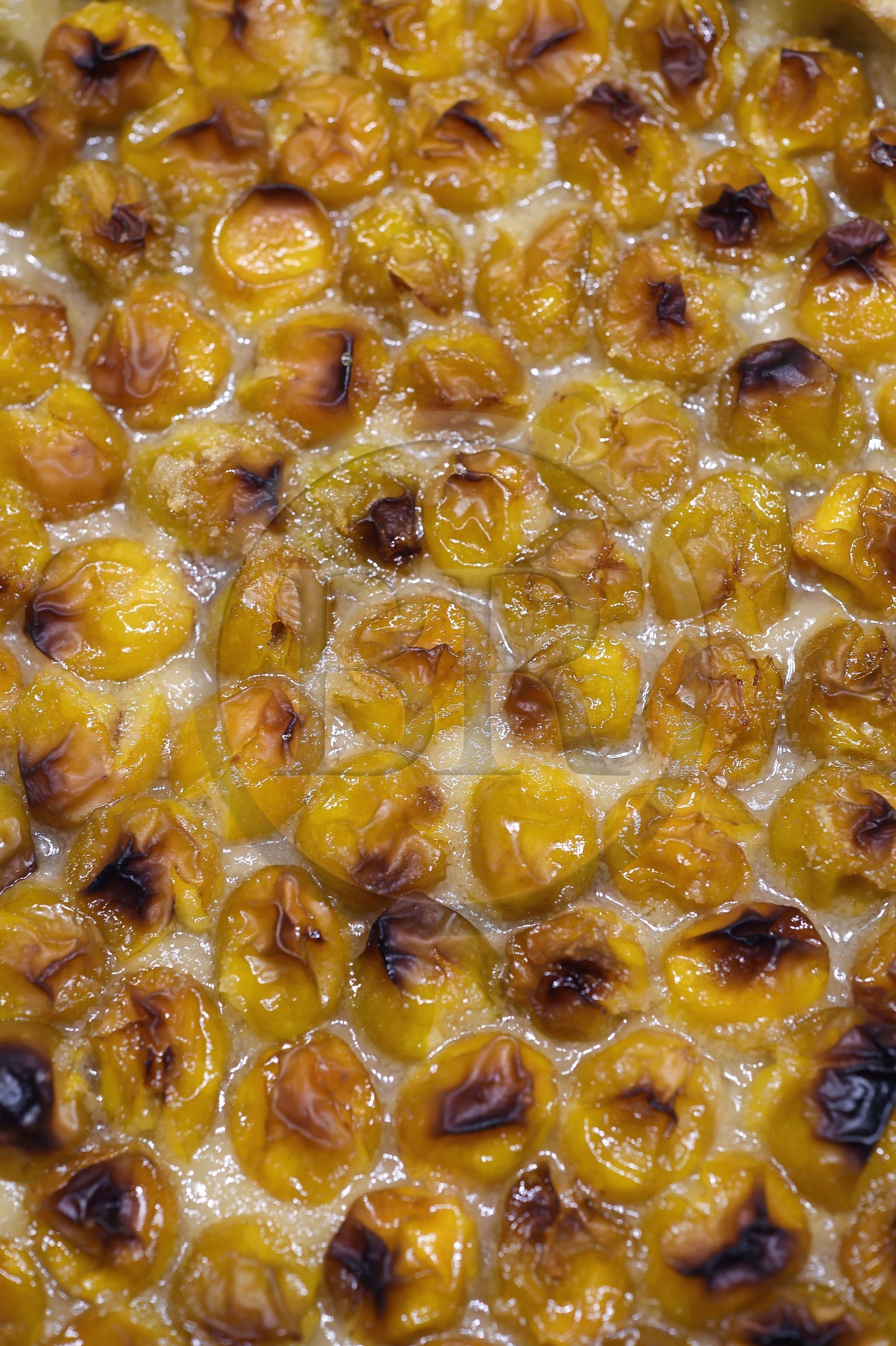 France, Home-baked mirabelle tart