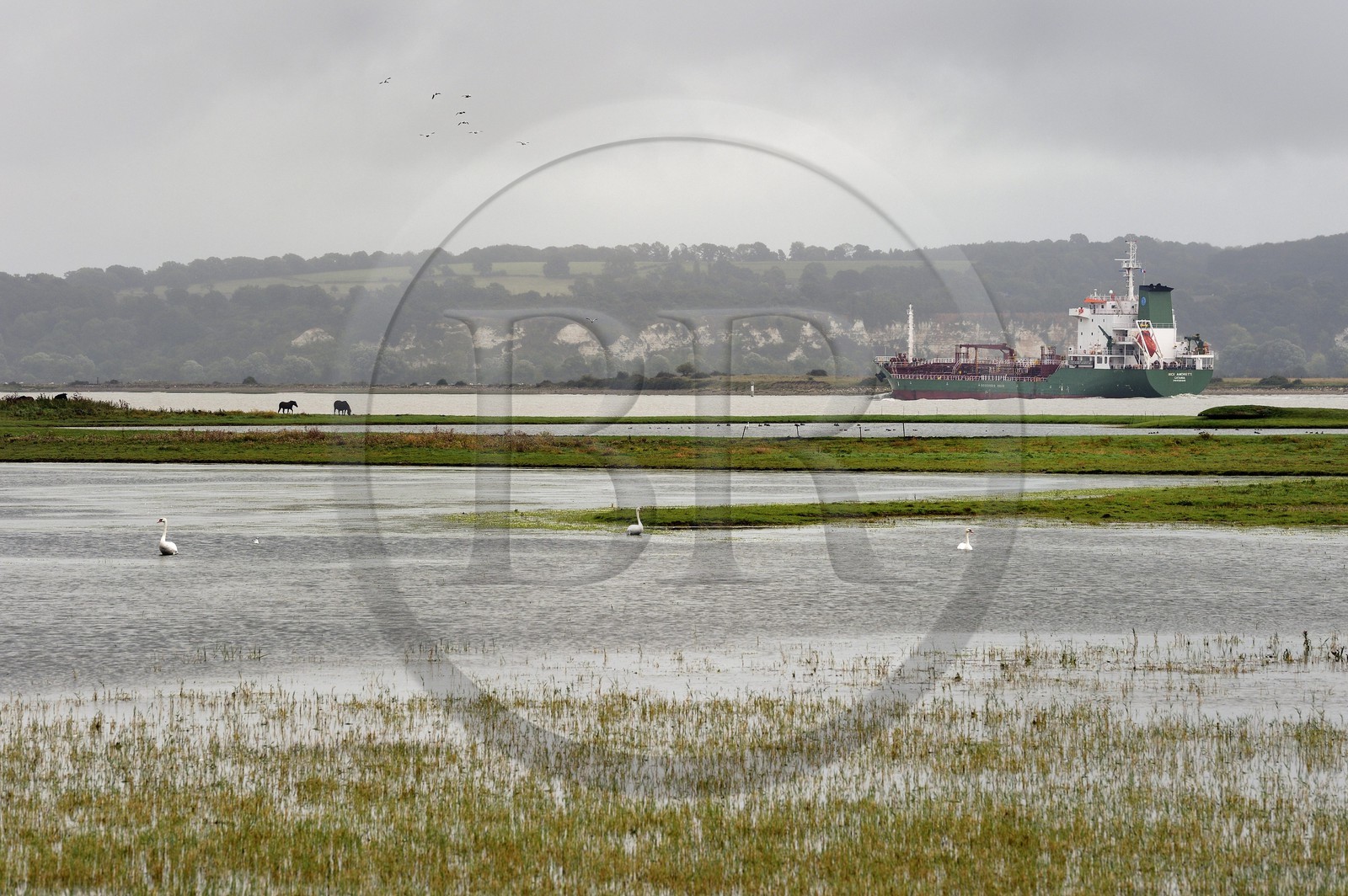 France, Seine-Maritime (76), Réserve Naturelle de l'estuaire de la Seine, cargo remontant la Seine vers Rouen