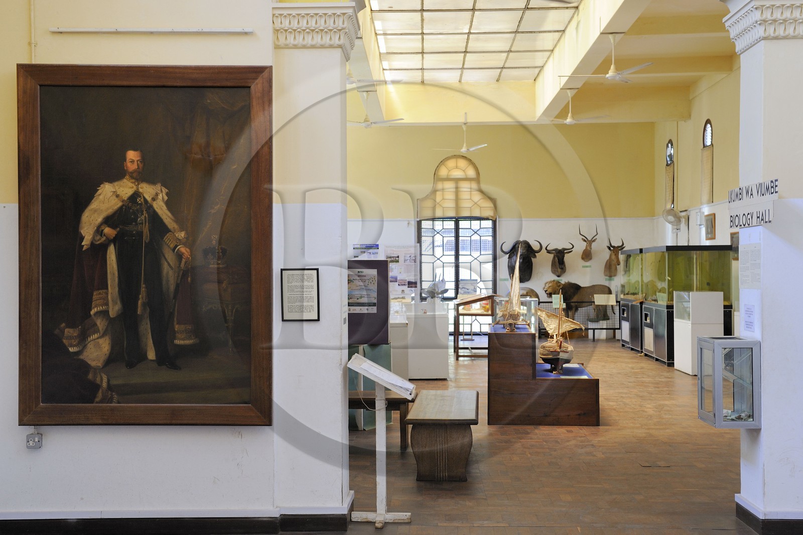 Tanzania, Dar es-Salaam, National Museum