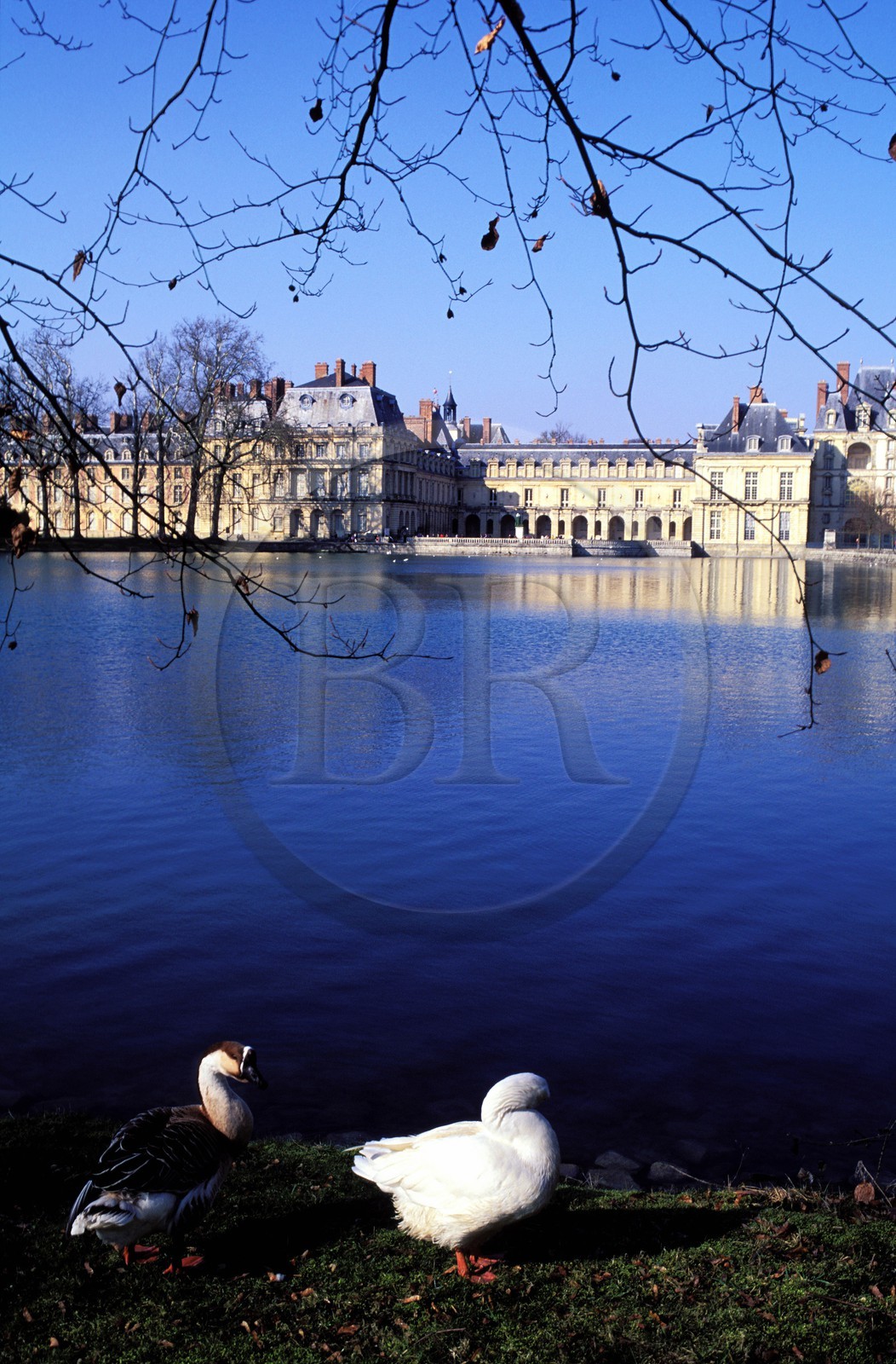 France, Seine-et-Marne (77), château de Fontainebleau, étang des Carpes
