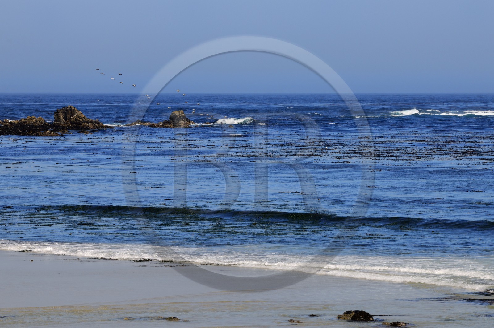 Etats-Unis, Californie, 17 mile drive, Spanish Bay