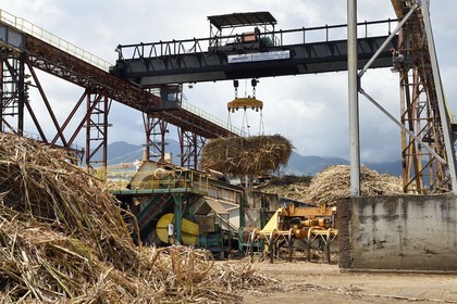France, Ile de la Reunion, Saint-Louis, l'usine sucrière du Gol, transfert de la canne à sucre vers l'usine