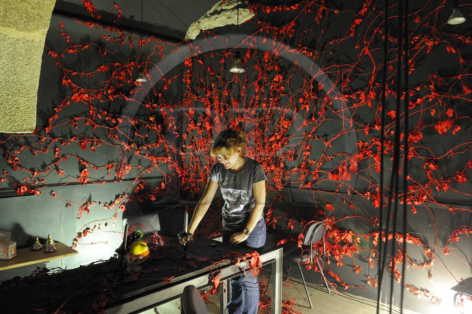 Portugal, région du Minho, Guimaraes, ancien couvent des dominicains,  squat d'artistes officiel et un des lieux d'exposition de Guimaraes 2012