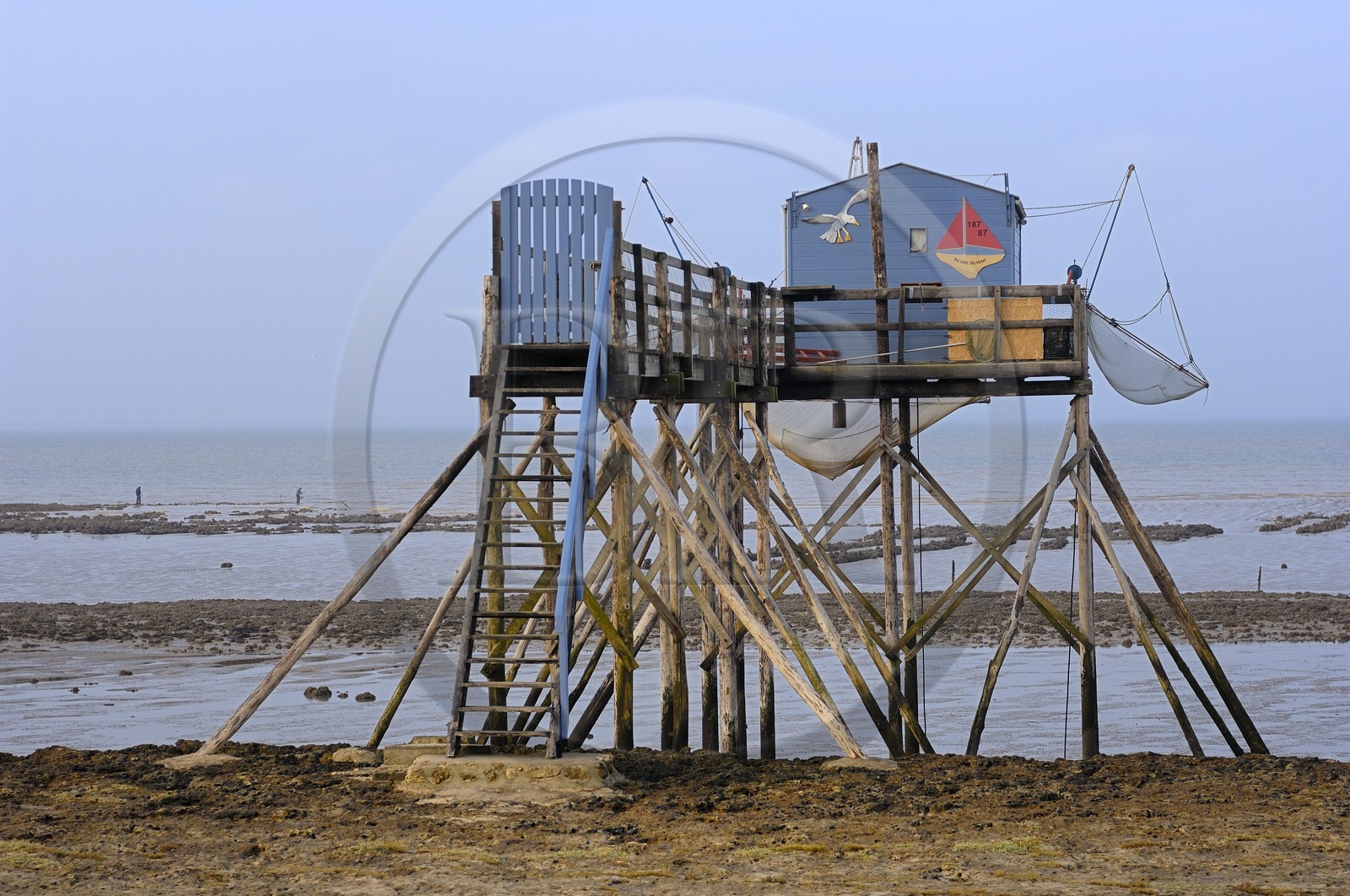 France, Charente-Maritime (17), Ile Madame, carrelets sur la côte