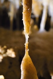 France, Dordogne (24), Périgord Noir, Les Eyzies-de-Tayac, site classé Patrimoine Mondial de l'UNESCO, enchevetrement de cristallisations dans la grotte du Grand-Roc, rencontre d'une stalactite et d'une stalagmite