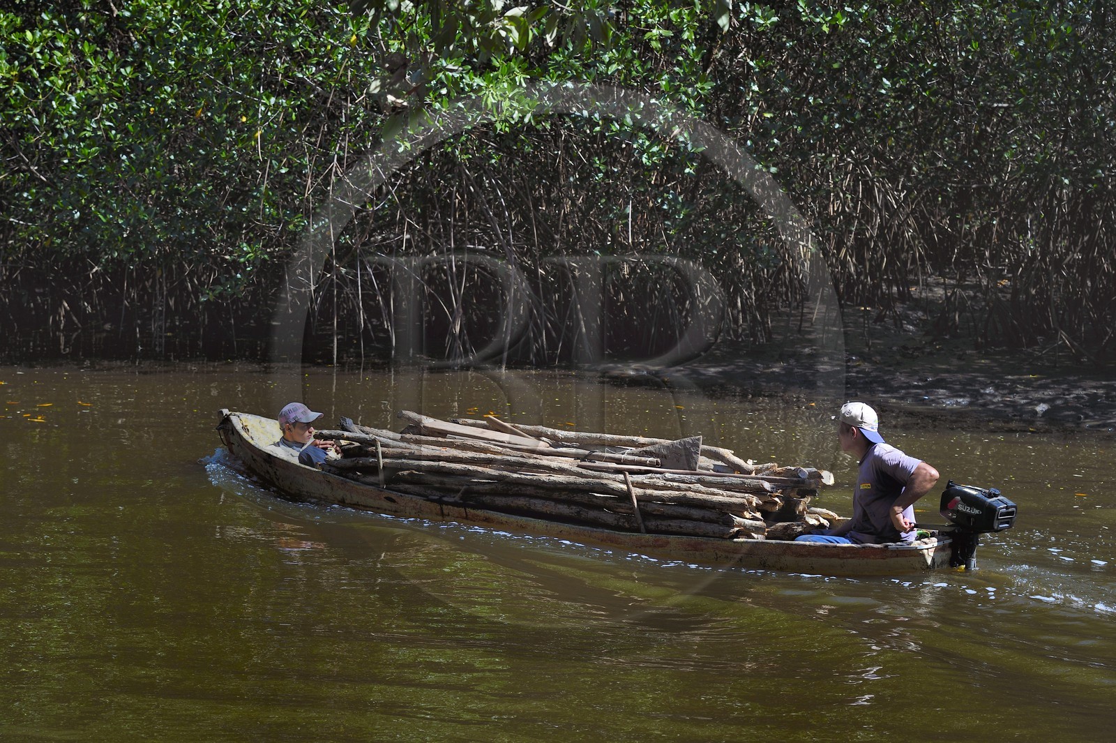Nicaragua, la côte pacifique de Leon, pirogue chargée de bois dans la mangrove du parc national Isla Juan Venado