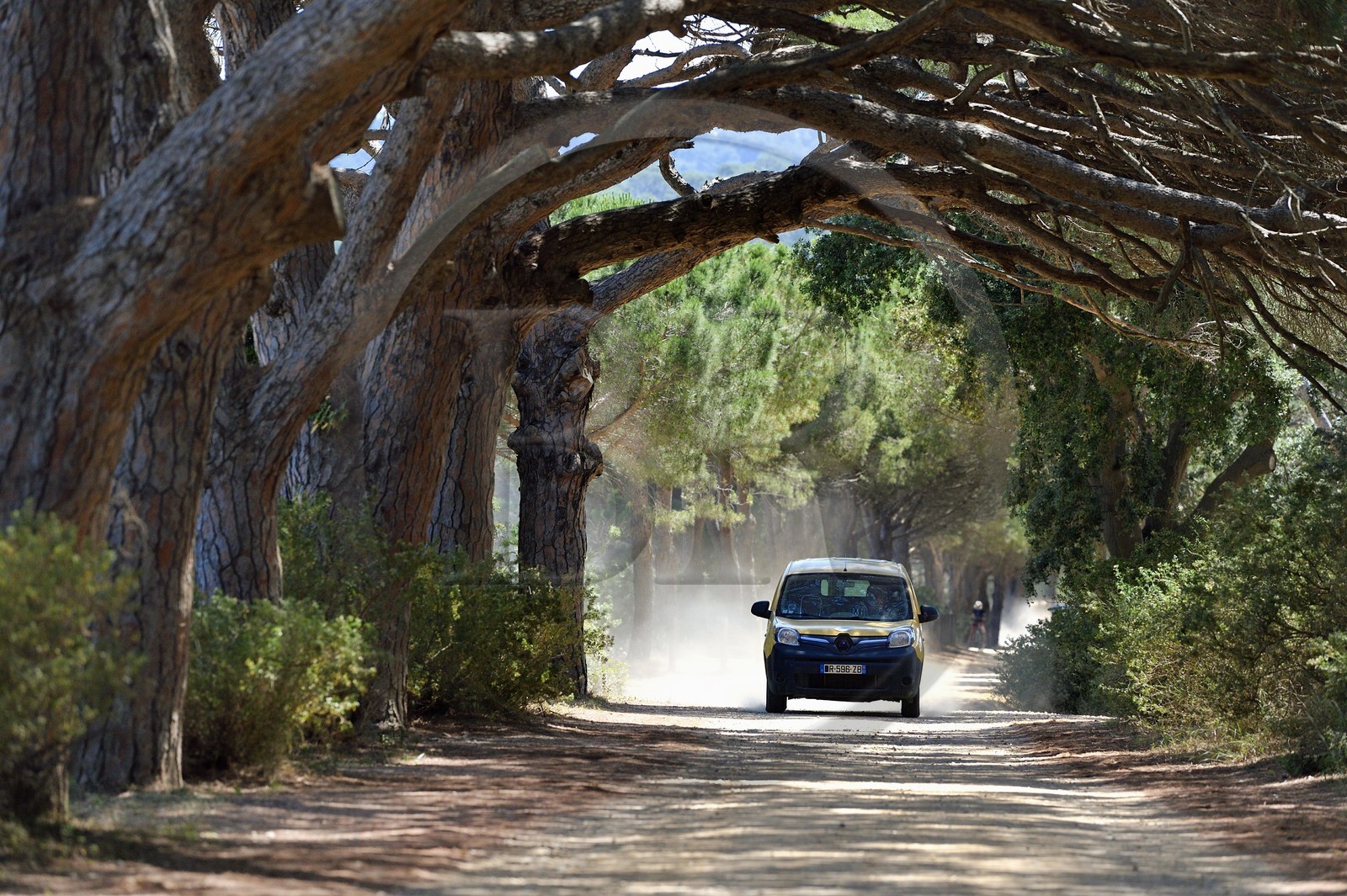 France, Var, Iles d'Hyeres, Parc National de Port Cros (National park of Port Cros), Porquerolles island, postwoman Christine Frissong tour in her electric car on the island tracks