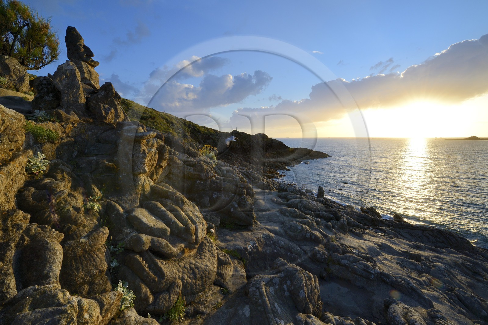 France, Ille-et-Vilaine, St Malo, Rotheneuf, stones sculpted by Foure abbot between 1870 and 1917